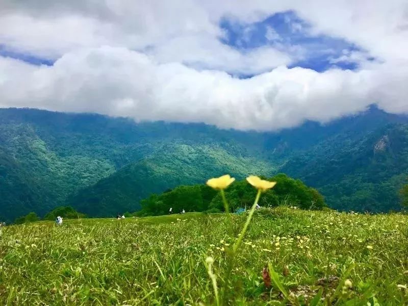 卧龙甘海子自驾路线卧龙甘海子旅游攻略成都到甘海子怎么走