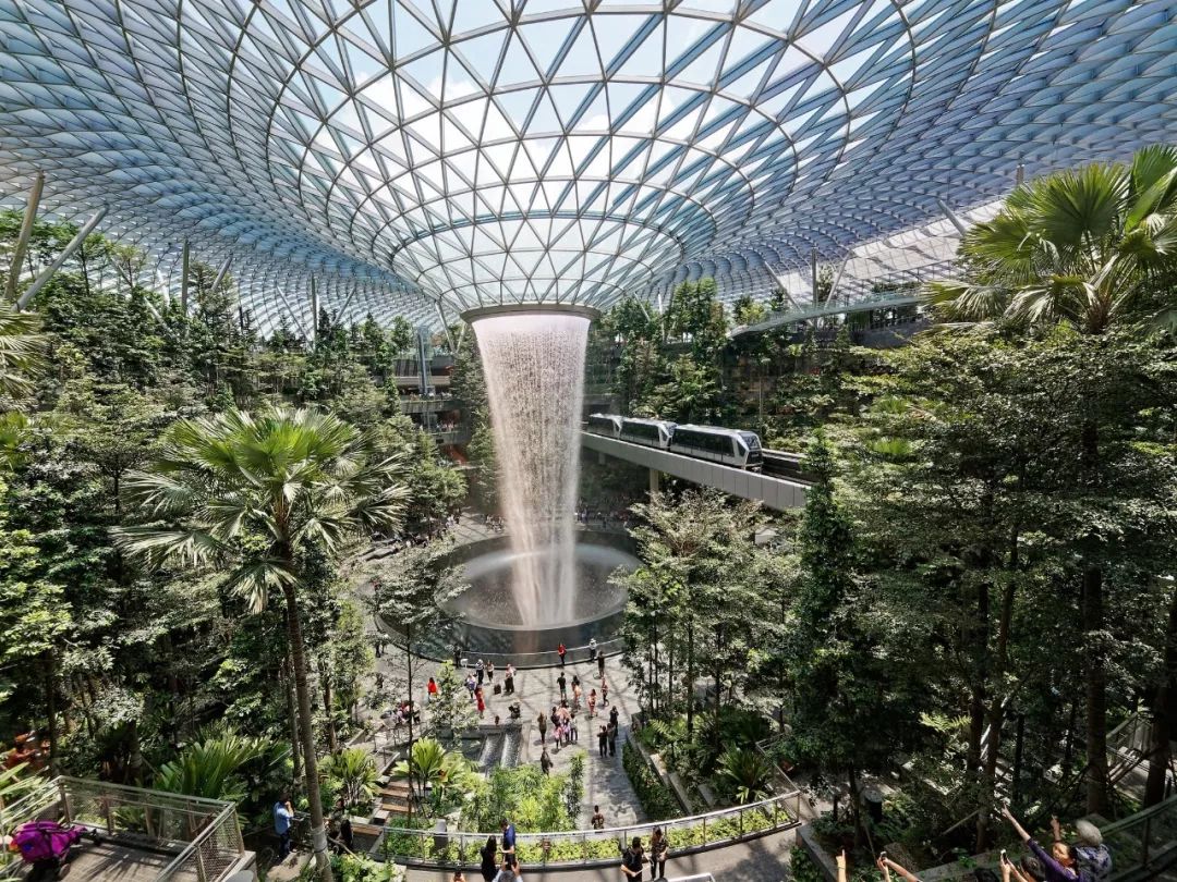 最近被新加坡机场"雨林缸"刷屏了.