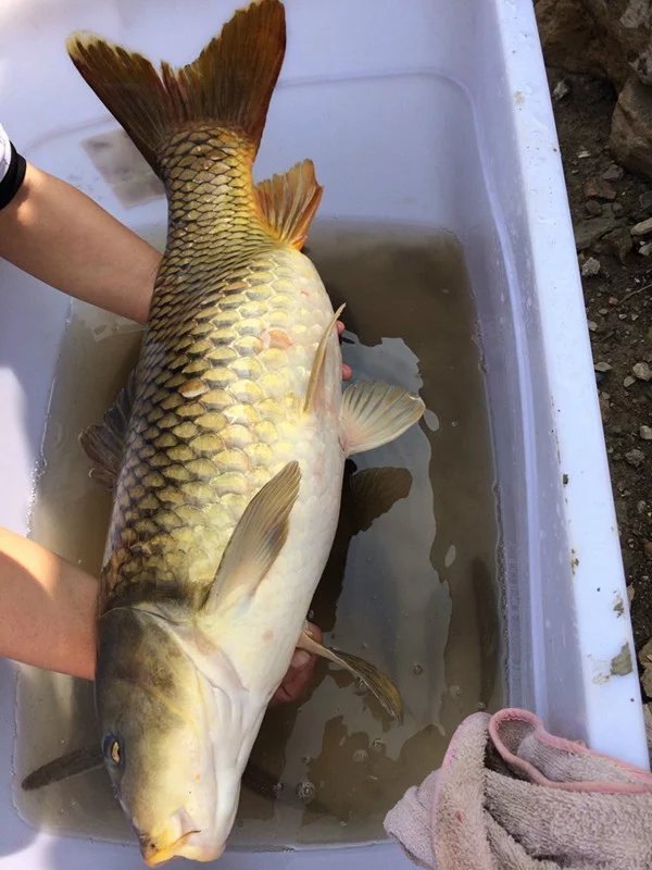 水库钓大鱼不能忽略的细节问题