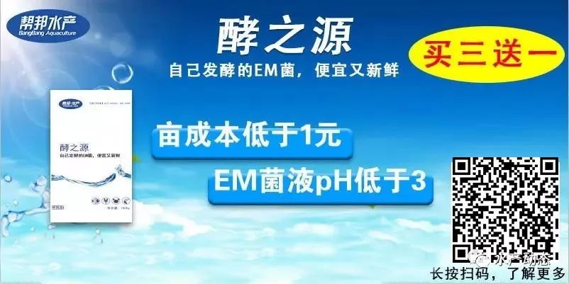 高清图 对虾养殖池塘水色调控方法 藻类