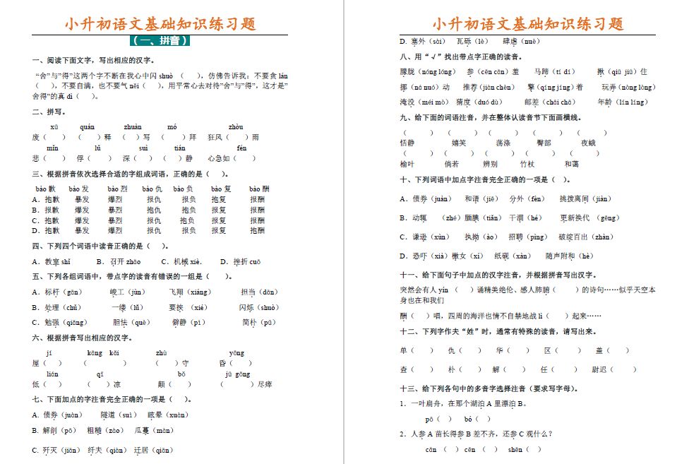 已排版小升初语文基础知识专项练习题一份资料就够了