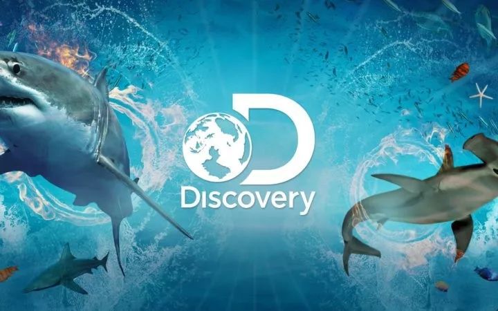 玩具说 | 朋友,你听说过那个探索世界万物的discovery