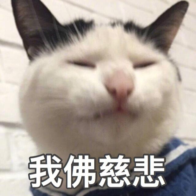 猫咪表情包|这拳下去,你会变得傻fufu