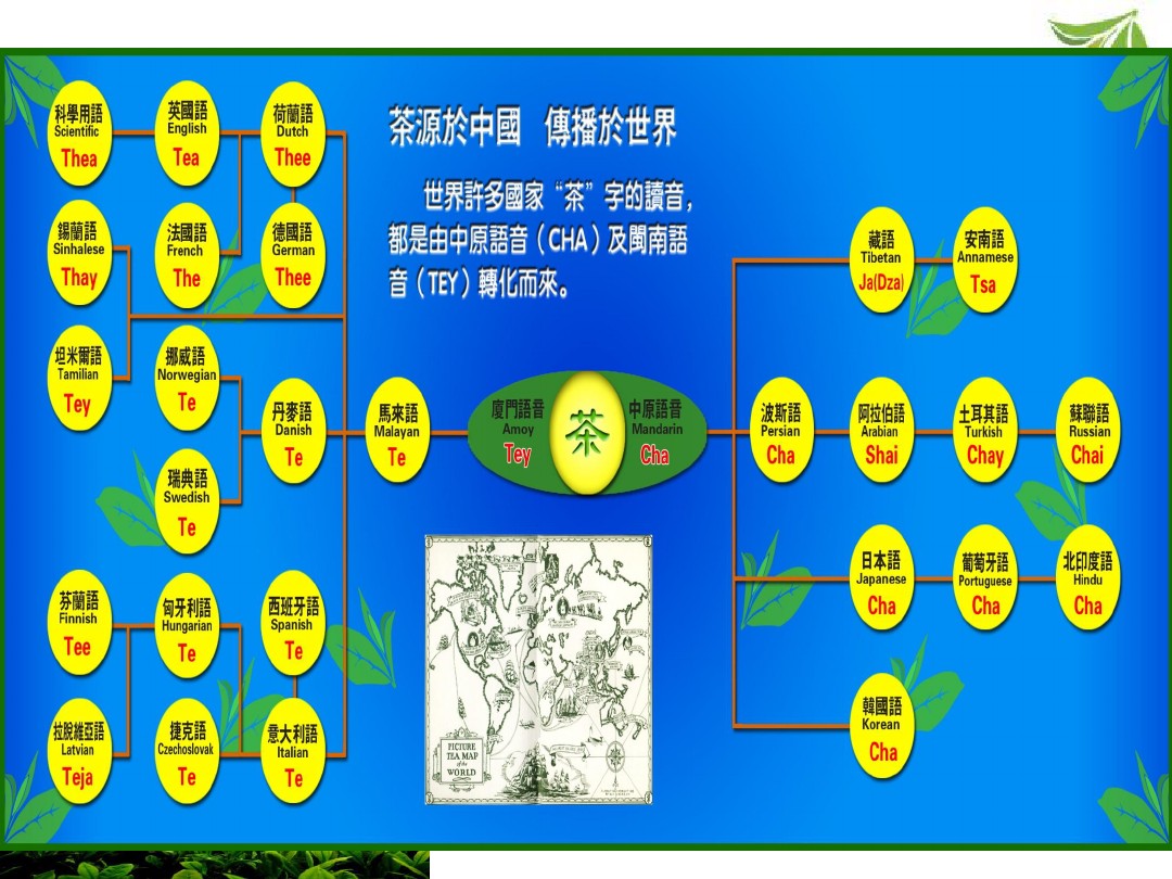 中国茶的起源与传播