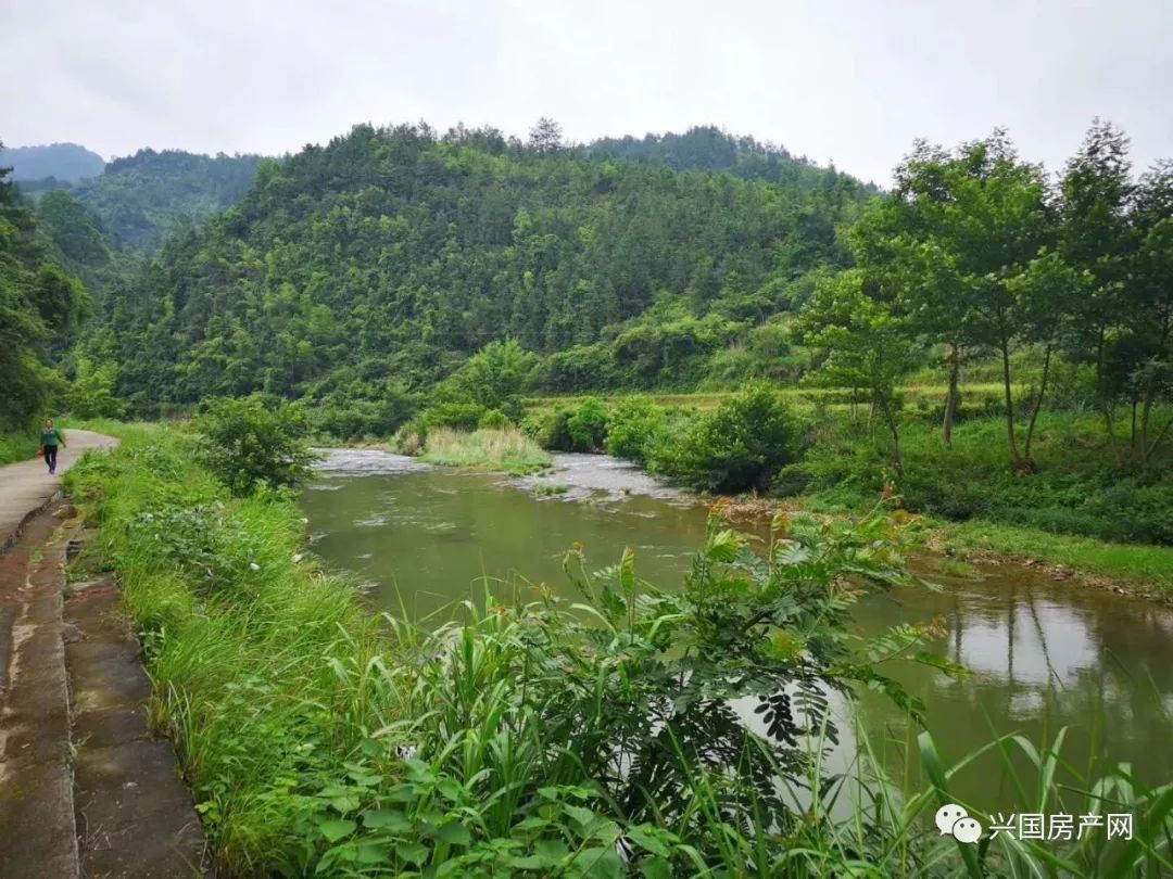 兴国洋池口水库征地项目有序推进_兴国县