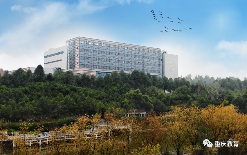 招办主任来帮忙丨重庆三峡医药高等专科学校招办老师饶清风访谈