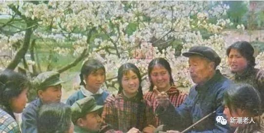 啥是老三届 057391128b2c4a9eb7240d371f96b9c2.jpeg