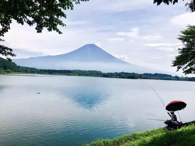 在日本卖的最贵的不是碳纤维鱼竿,而是并继竿