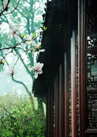 寒冬腊月你不在春暖花开你别来 098805e662a4438fa1c5b85552e9851e.jpeg