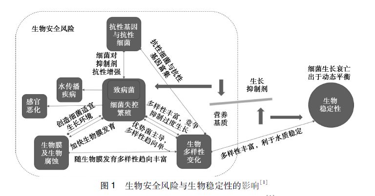 抗生素抗性基因(antibiotic resistance genes,args)是水环境中的新型