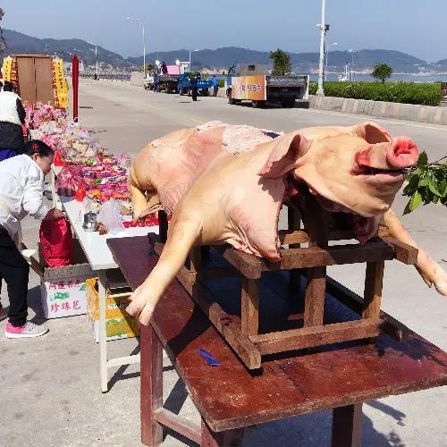 路祭丧俗,外家要备全猪祭拜,其他宗亲,姻亲也要备全鸡,全鱼等祭品祭拜