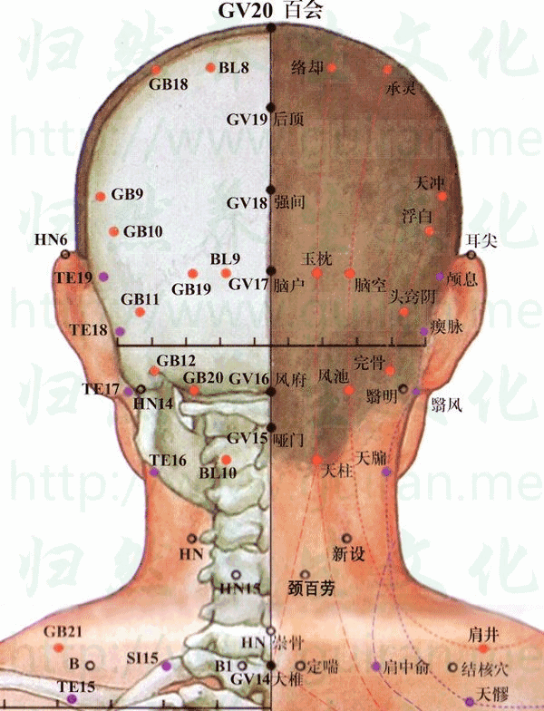 十二经362穴高清动态图详细解读