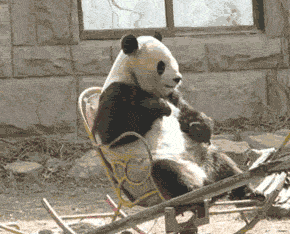 动态图片大全搞笑的 27f3329605cb44ef8217ad36b20f907a.gif