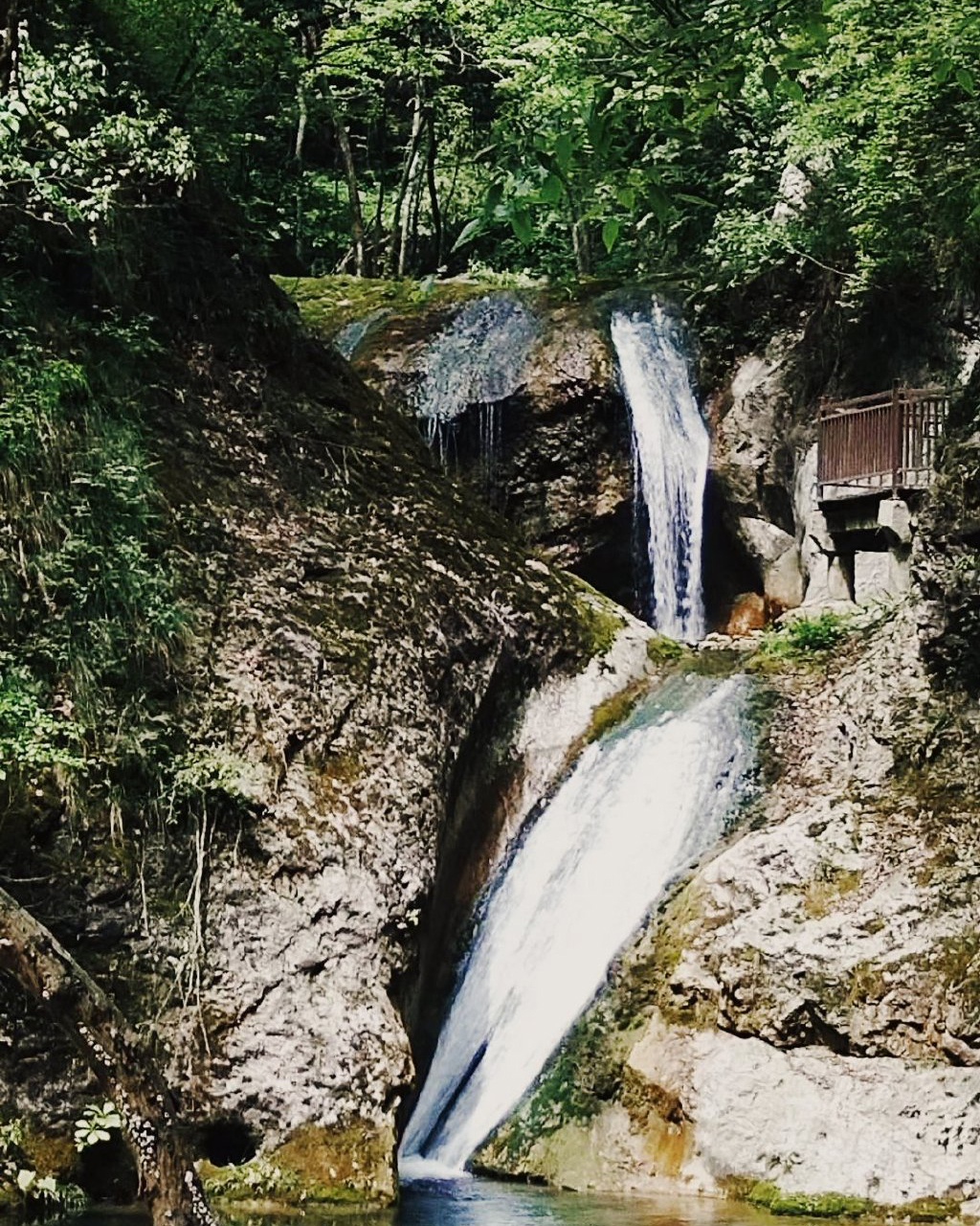 金丝大峡谷景区的主要特点是:谷深狭窄,壁绝峰险,瀑群奇幻,溪潭珠连