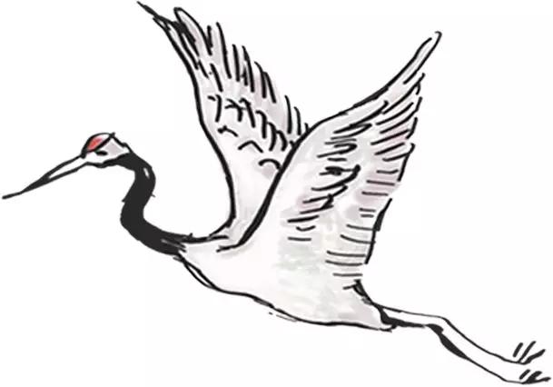 何谓一阴一阳之谓道?