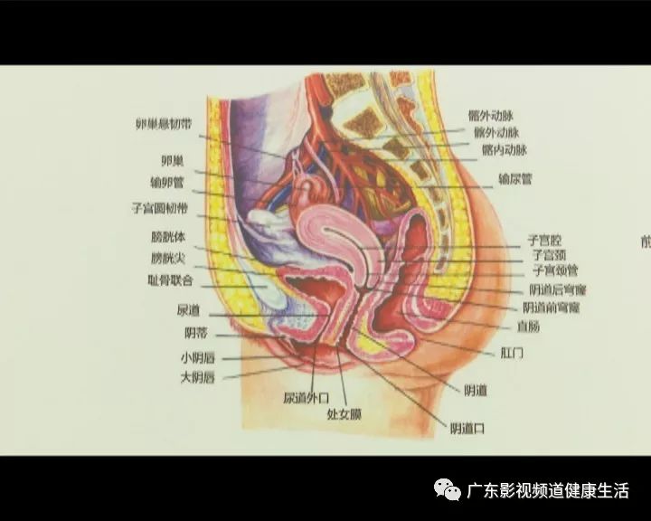 临产孕妇跳肚皮舞肚里宝宝受得了吗