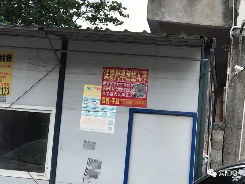 宾阳街头竟出现"代孕包生儿子"的小广告?