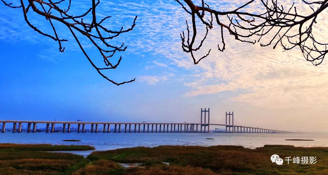 《浣溪沙·泉州湾跨海大桥》庄灿煌