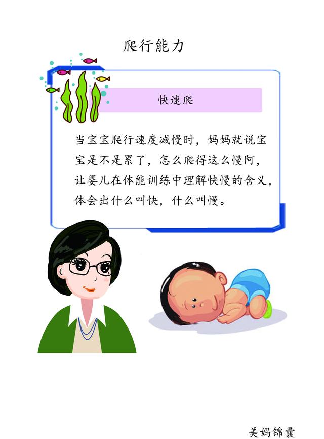                     宝宝爬行能力训练的顺序