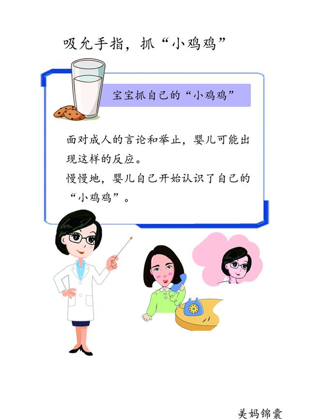                     宝宝为什么总是抓自己的小鸡鸡？