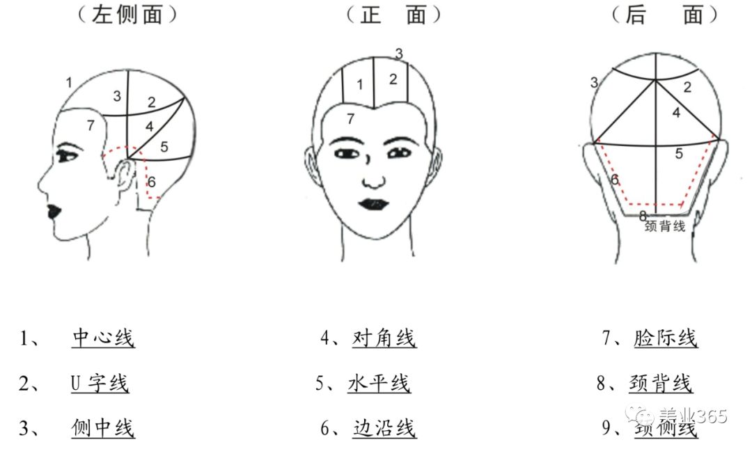 发型师必备的基础剪发知识点线面