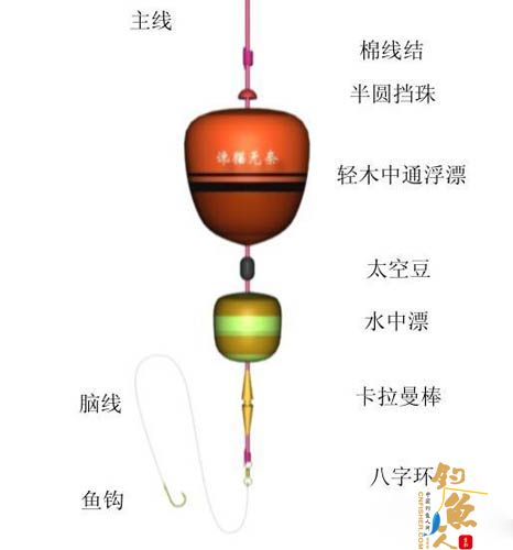 海钓钓鱼图解技巧 丨推荐5种十分有效