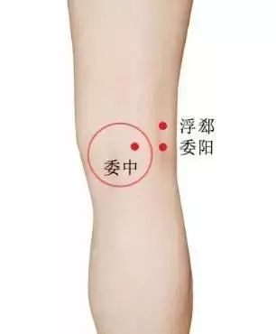 如何打通人体12经络 47f48fc23e234779a9bbf614343e2424.jpeg