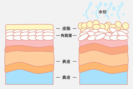 夏天油性皮肤的保湿方式