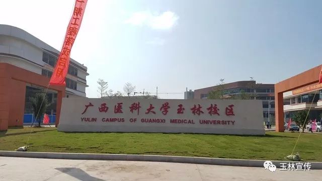 招生计划出炉!2019年广西医科大学玉林校区招1100人