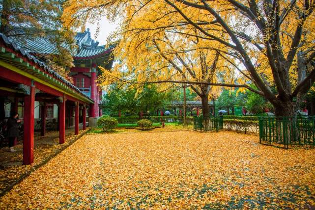 九,校园风景:东方最美校园 南京师范大学随园校区有着"东方最美丽的