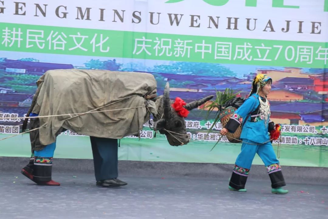 田间上演"插秧舞"——第四届湘西农耕民俗文化节今天在十八洞村隆重