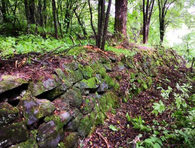 东北抗联唯一的密营城堡在长白山池南区被发现，提供重要史料