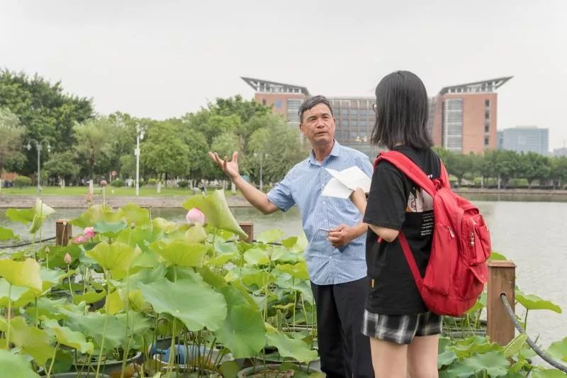 横荷刘姓人口_人口普查(2)