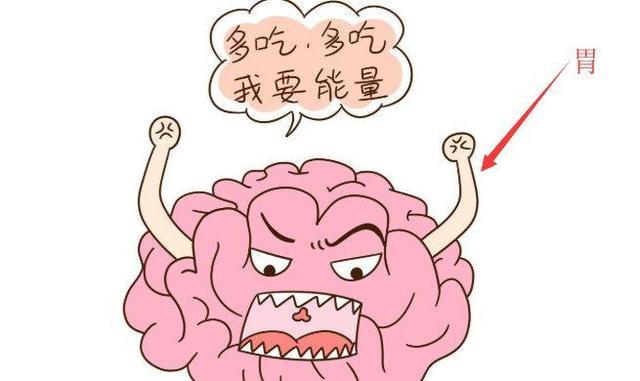                     胃强脾弱这个错误的词骗了无数家长很多年