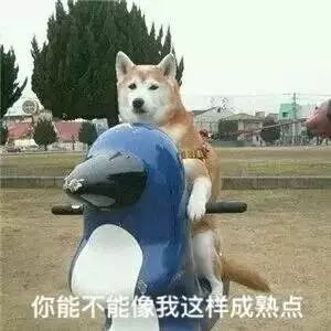 一条龙服务走起好吗?