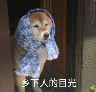 糟心的事情一件件累计 不经意间变成 生活如此艰难 生活中还是沙雕