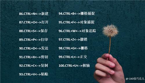 cad的这些快捷键,好用到暴风哭泣,一秒钟完成3小时操作
