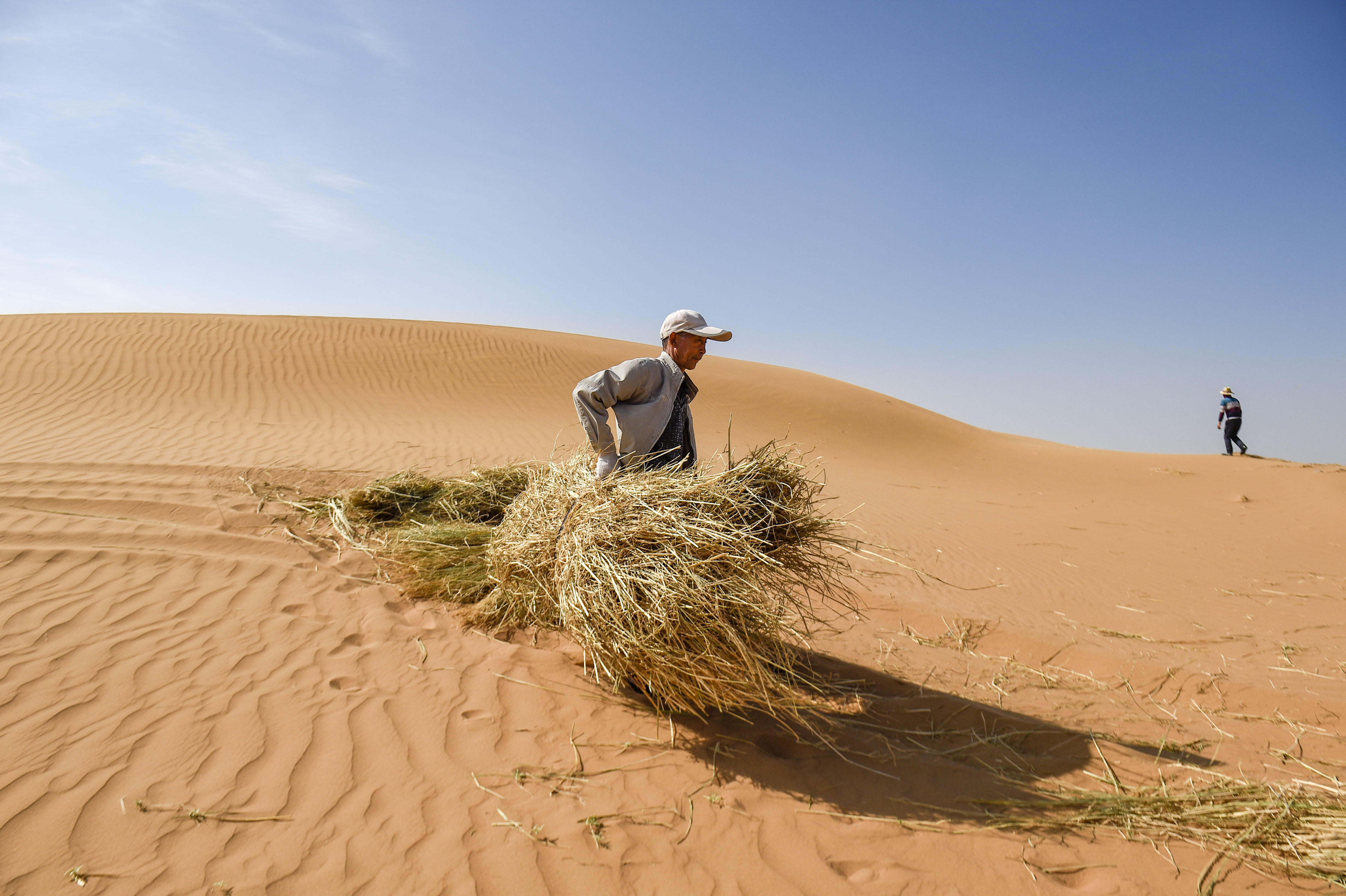 唯美宁夏沙漠风景图片手机壁纸 - 手机壁纸 - 桌面天下（Desktx.com）