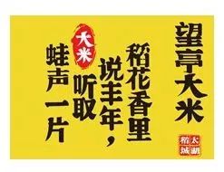 稻禾什么成语_稻禾图片