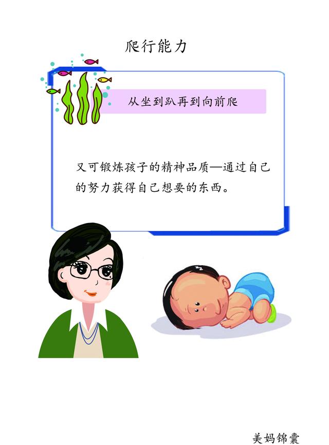                     宝宝爬行能力训练的顺序
