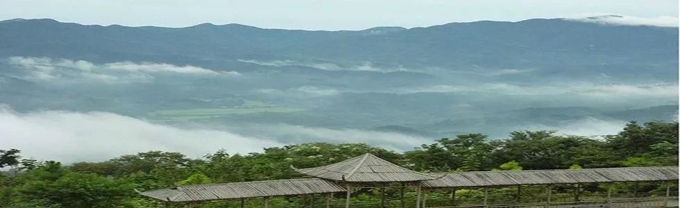 关注泰康京山生态基地项目推进情况如何速看