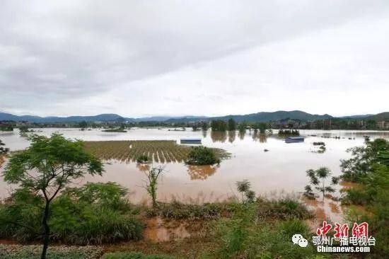 临武县武水镇人口有多少_临武县舜峰镇全景