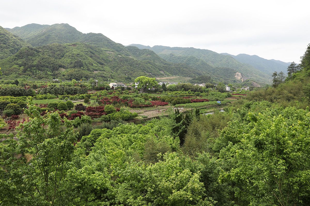 历时九天，寻访剡溪九曲，全景录，累并快乐着