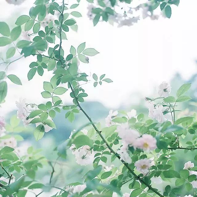 d3ce71b148ad47cdac37a1ab2fc46c5e.jpeg