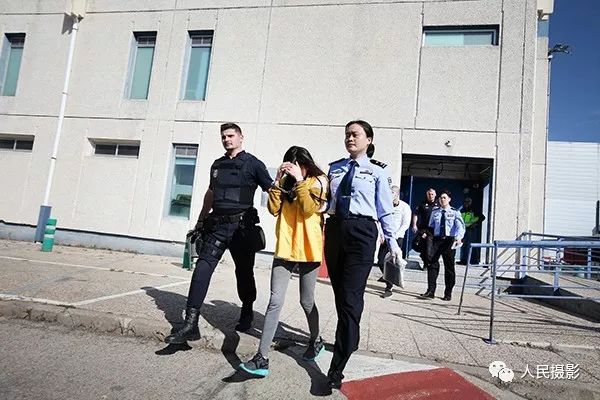 绝不姑息中国警方首次从欧洲大规模押解电诈嫌疑人洛川苹果甲天下美丽