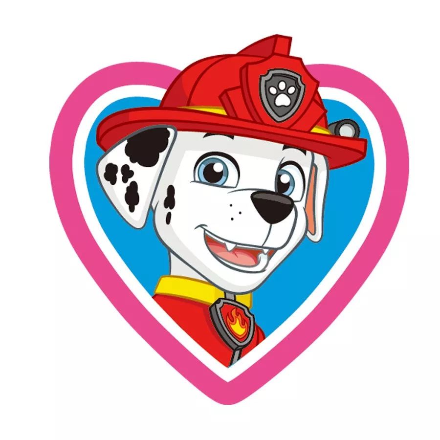 【活动招募】汪汪队喊你一起出发救援