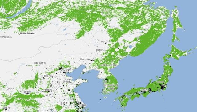 卫星绘制全球森林地图!中国提升森林覆盖范围大,日本