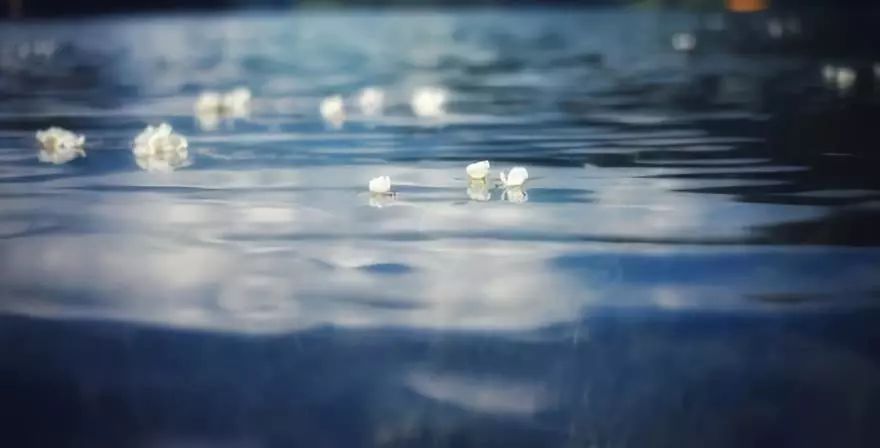 水性杨花简谱_泸沽湖水性杨花图片