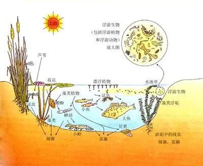ef84c7a0fa094f51a88adae4dc95b7c2.jpeg