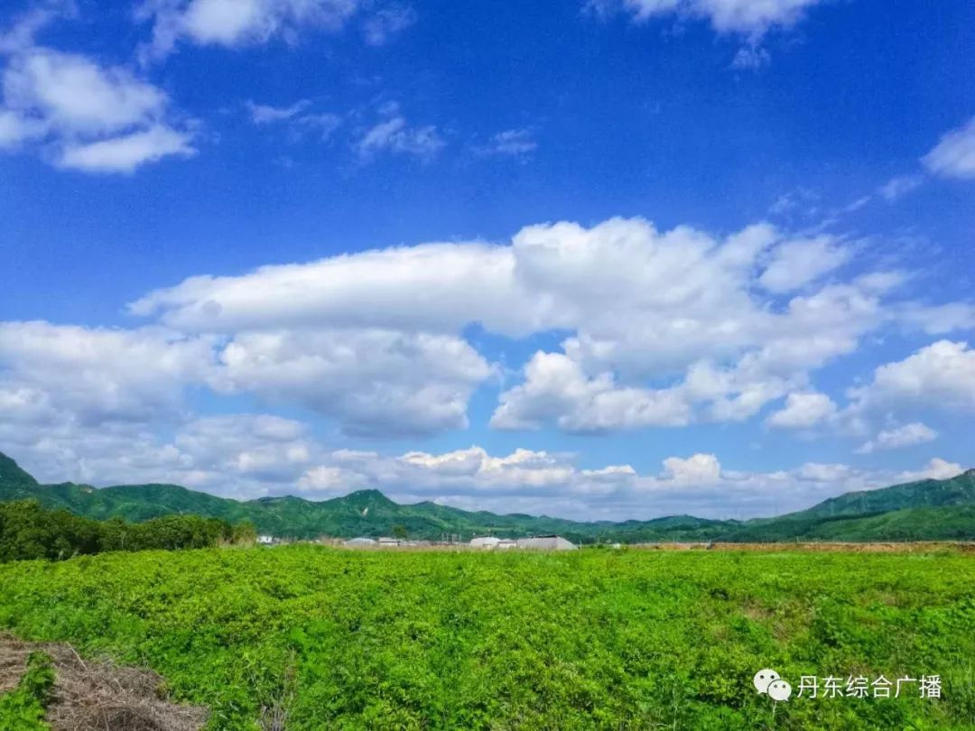 天气预报\/明日预告\/随手拍